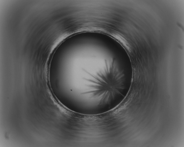 X0000091171046200709060930