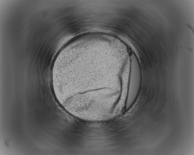 X0000091171048200709060930