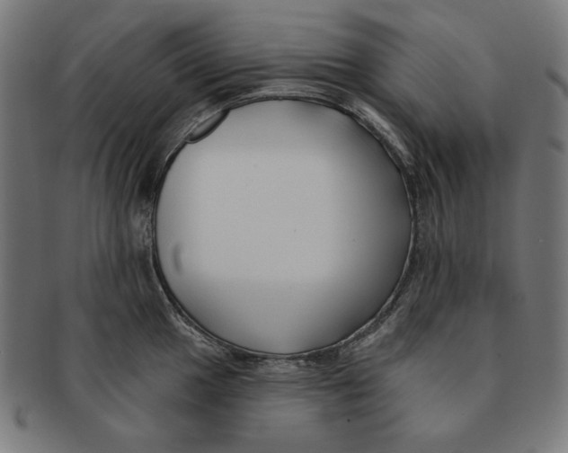 X0000091171049200709060930