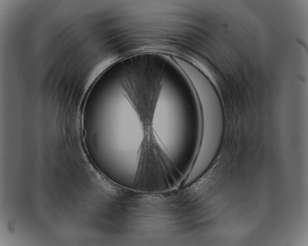 X0000091171050200709060930