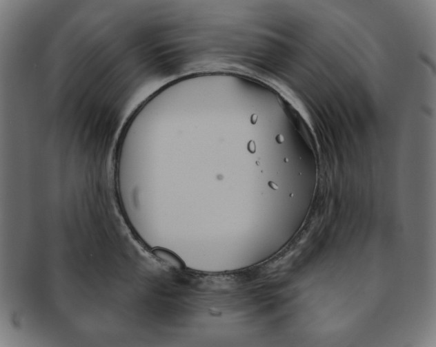 X0000091171053200709060930