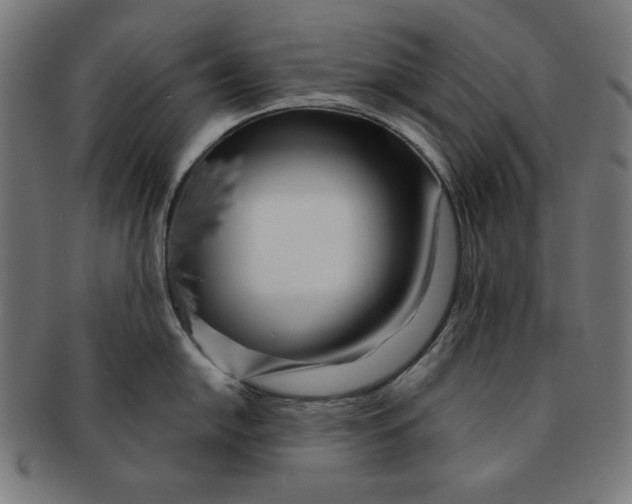 X0000091171054200709060930