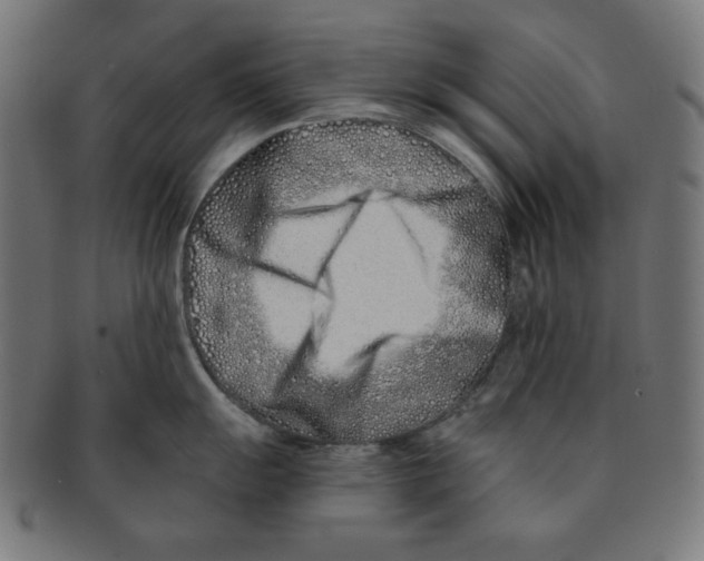 X0000091171055200709060930