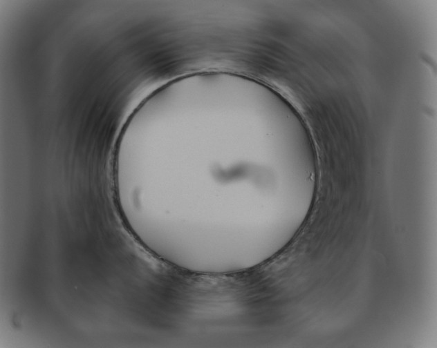 X0000091171056200709060930