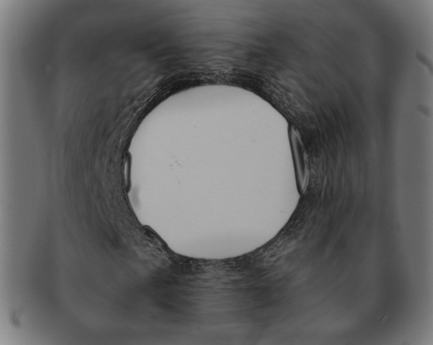 X0000091171057200709060929