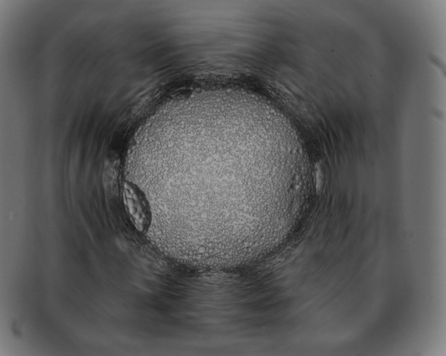 X0000091171059200709060929