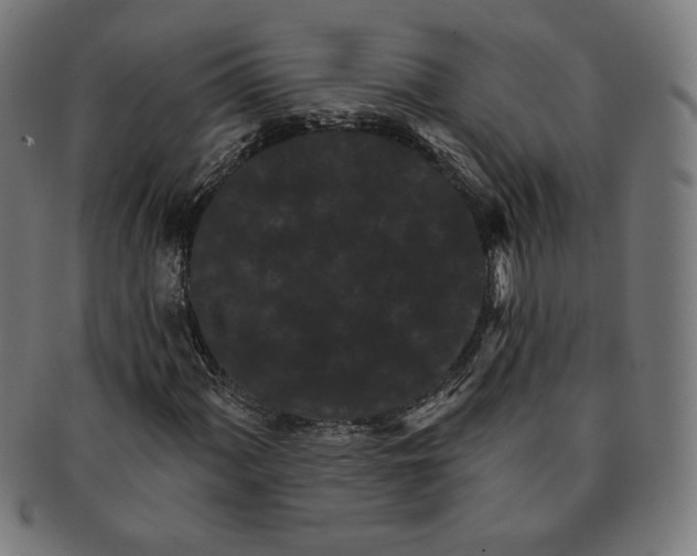 X0000091171060200709060929