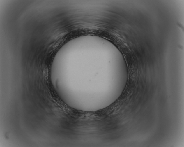 X0000091171061200709060929