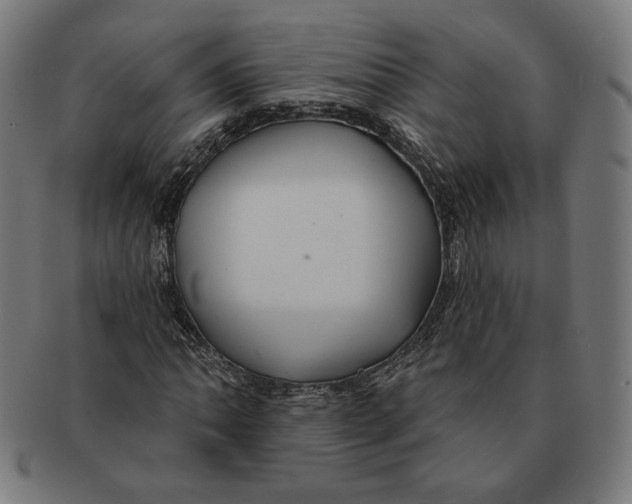 X0000091171062200709060929