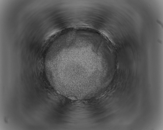 X0000091171063200709060929