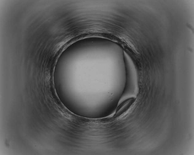 X0000091171065200709060929