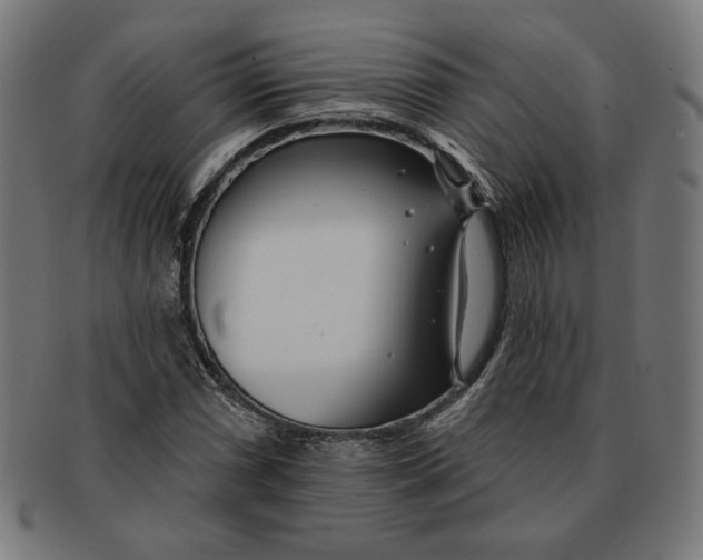 X0000091171066200709060929