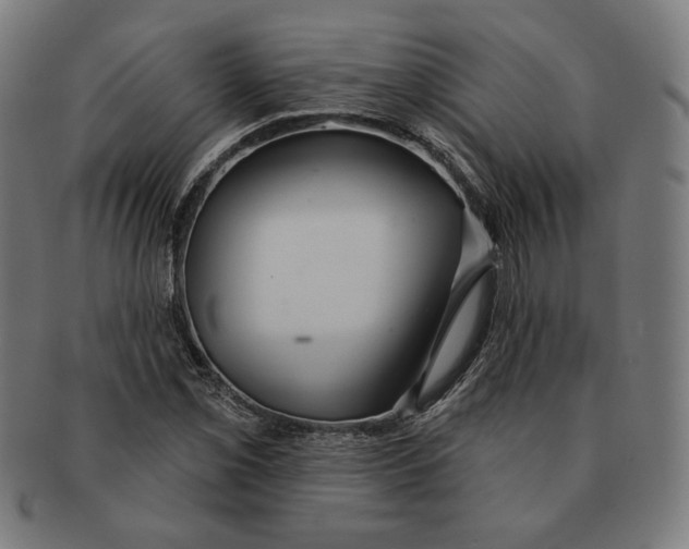 X0000091171069200709060929