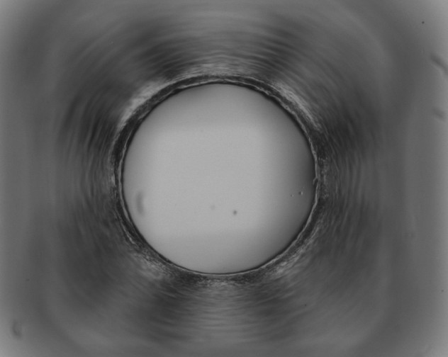 X0000091171070200709060929