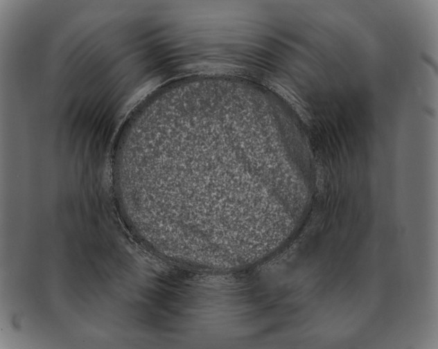 X0000091171074200709060929