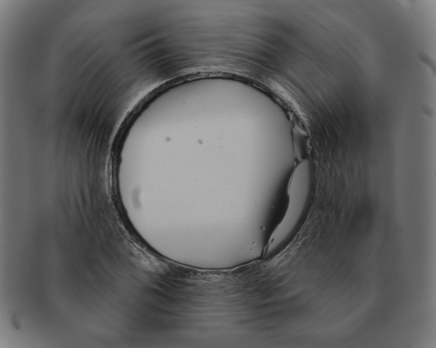 X0000091171076200709060929