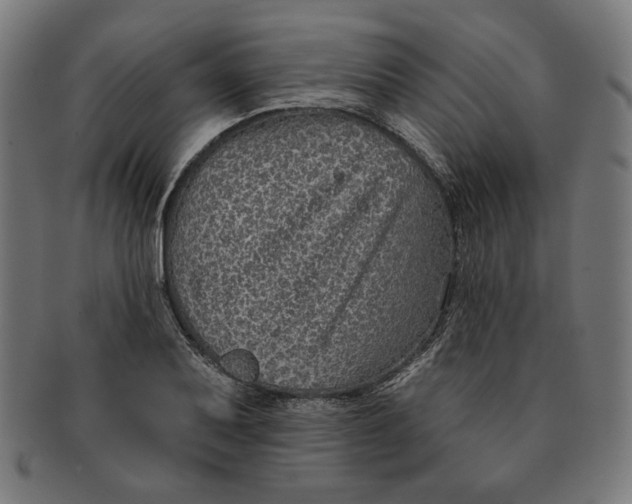 X0000091171079200709060929