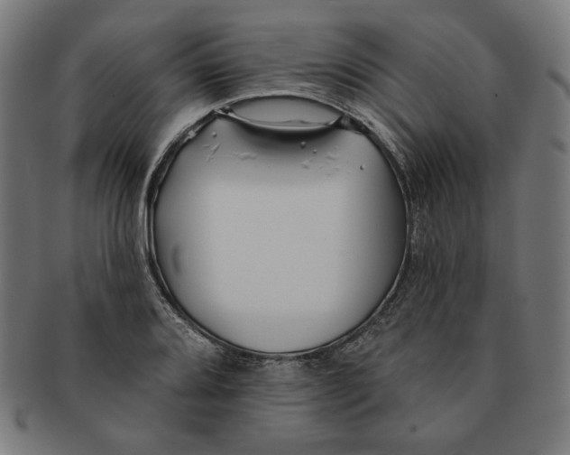 X0000091171080200709060929