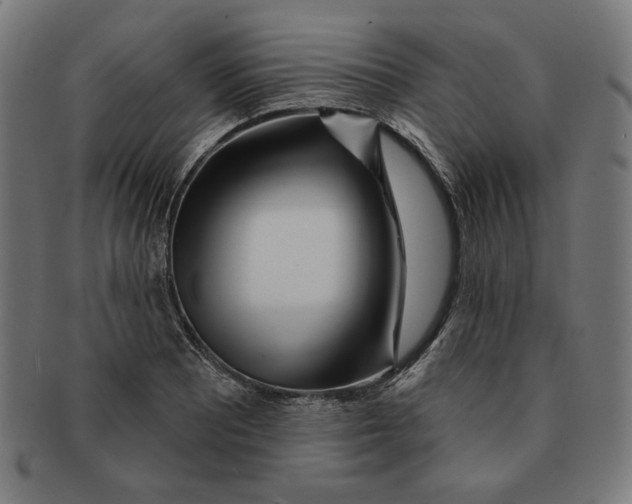 X0000091171081200709060929