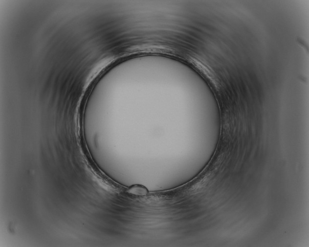 X0000091171082200709060929