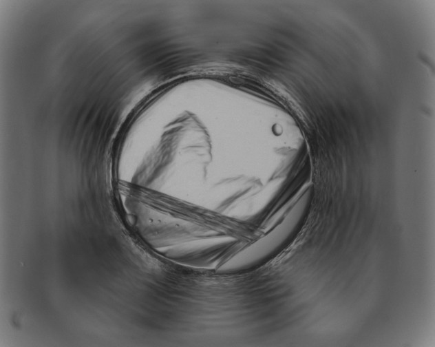 X0000091171083200709060929