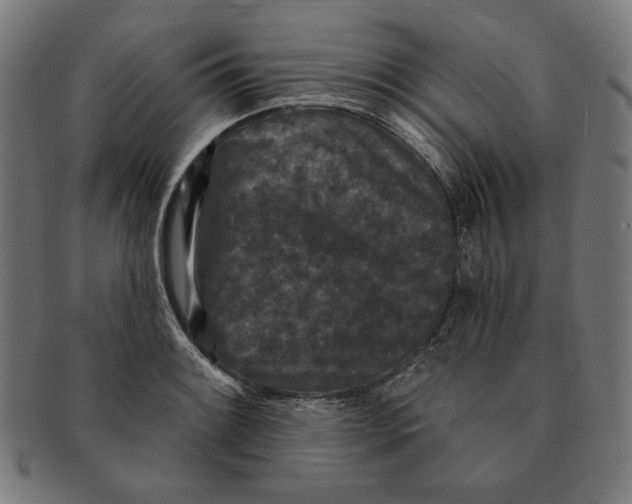 X0000091171084200709060929