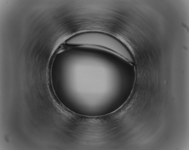 X0000091171085200709060929