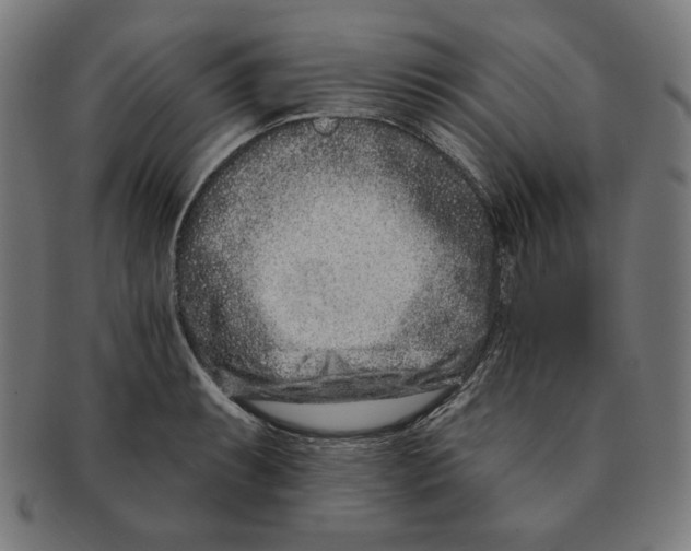 X0000091171087200709060929