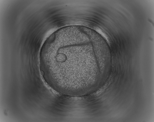 X0000091171088200709060929