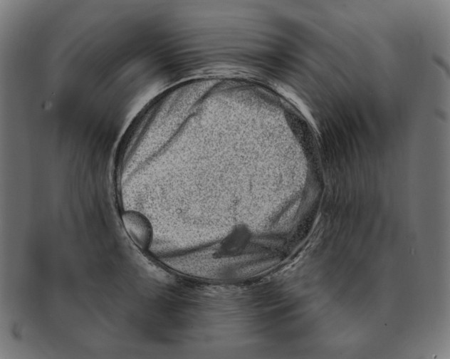 X0000091171091200709060929