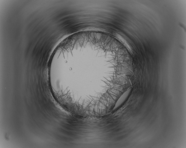 X0000091171092200709060929