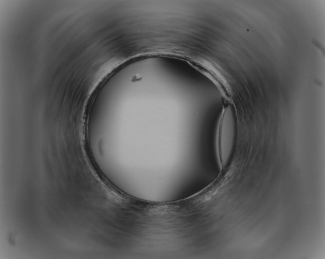 X0000091171093200709060929