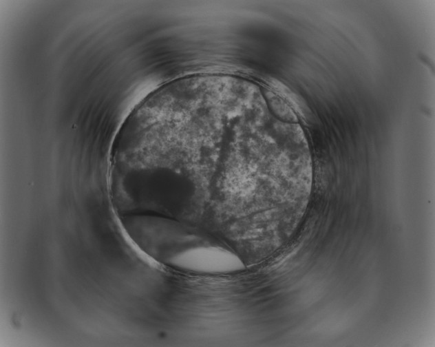 X0000091171095200709060929