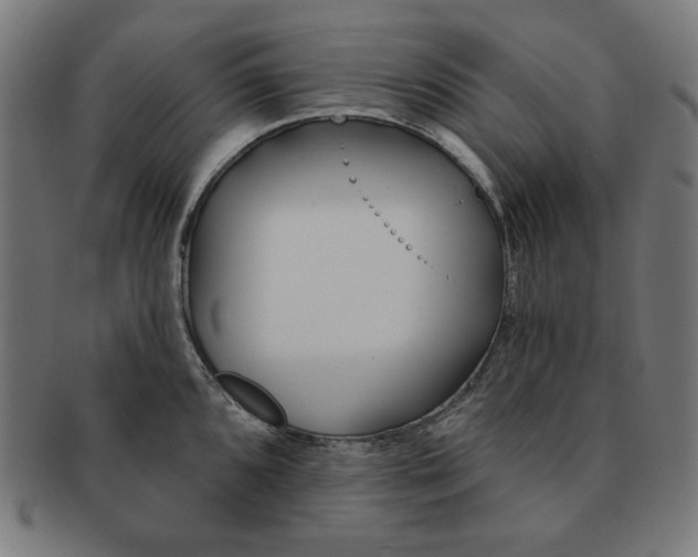 X0000091171096200709060929