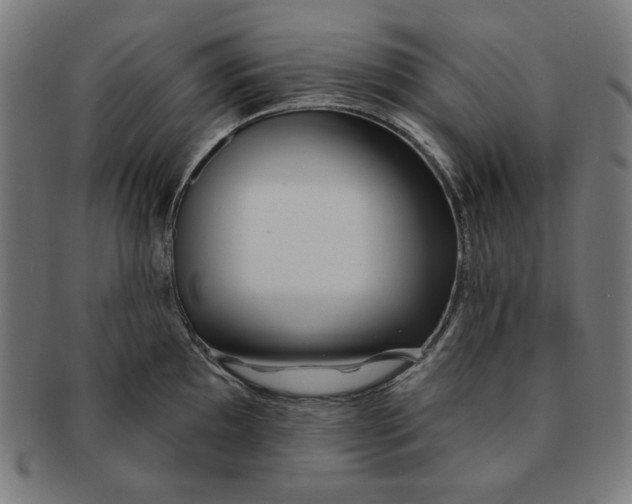 X0000091171097200709060929