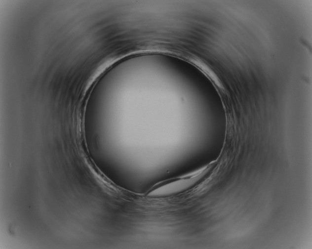 X0000091171101200709060929