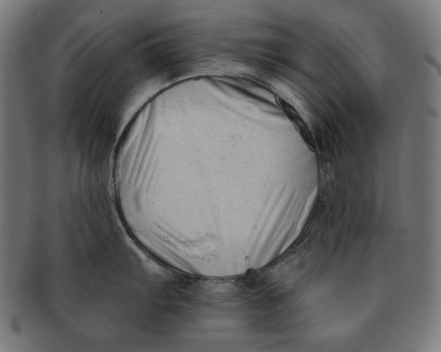 X0000091171103200709060929