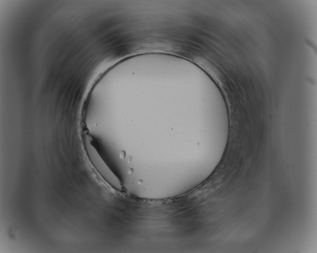 X0000091171104200709060929