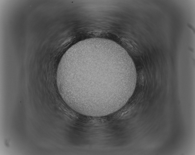 X0000091171105200709060928