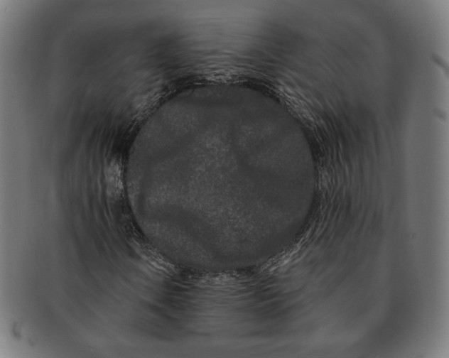 X0000091171106200709060928