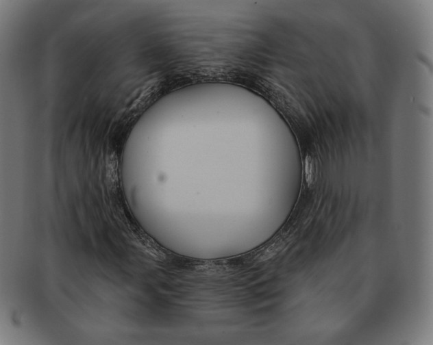 X0000091171107200709060928