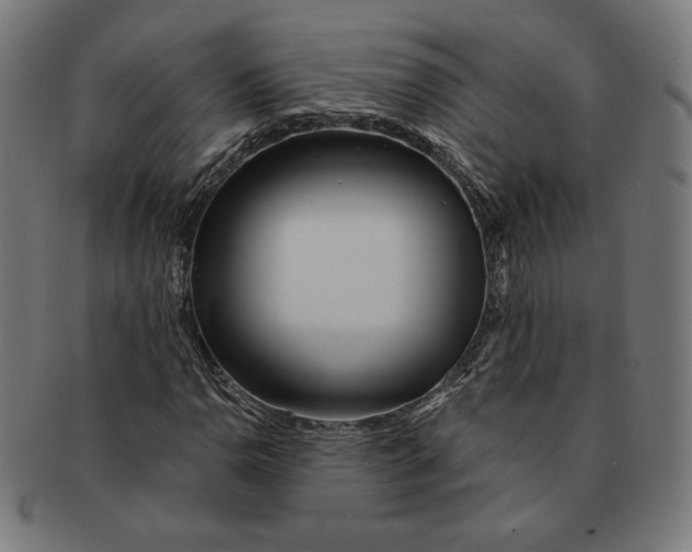 X0000091171110200709060928