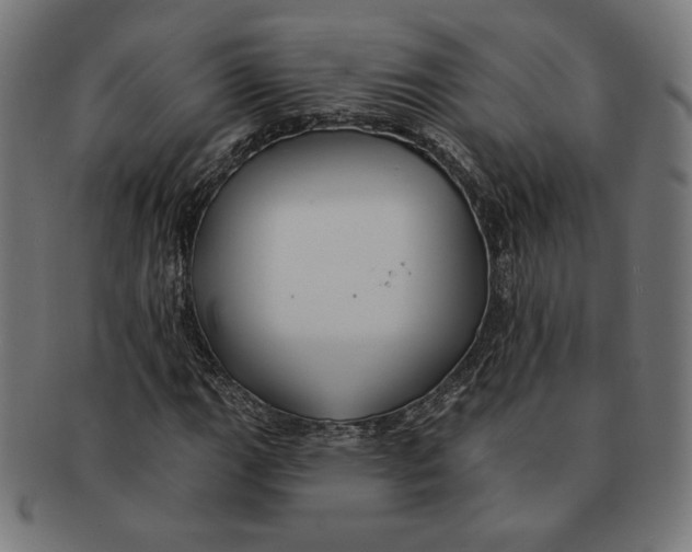 X0000091171111200709060928