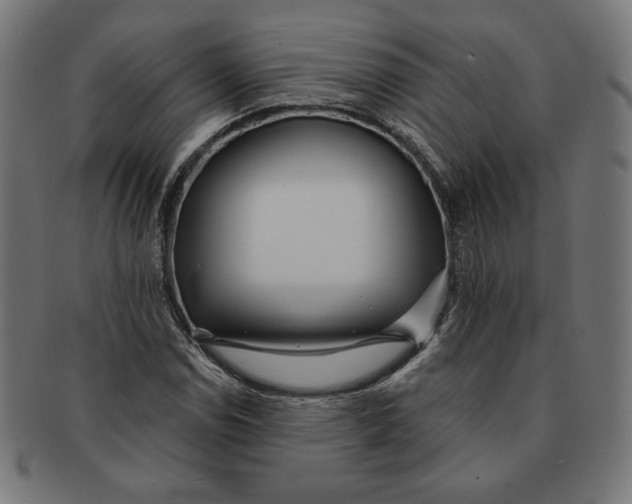 X0000091171114200709060928