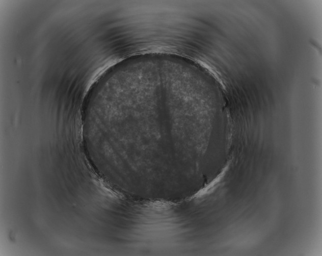 X0000091171117200709060928