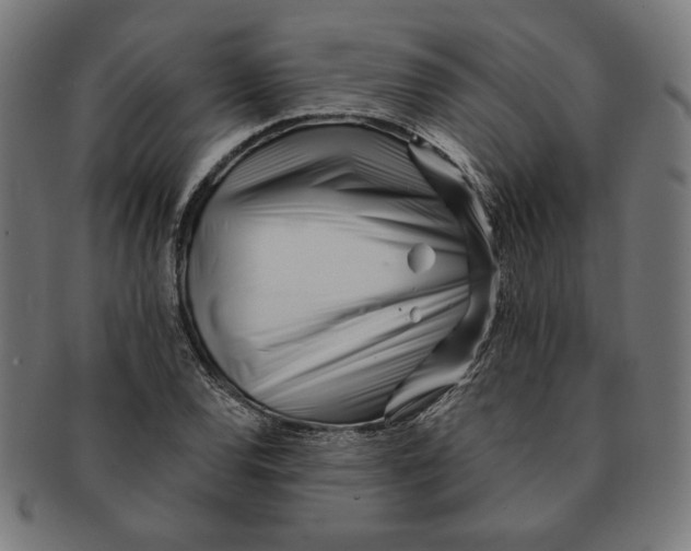 X0000091171120200709060928