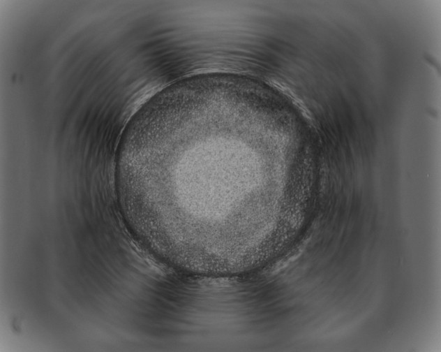 X0000091171121200709060928