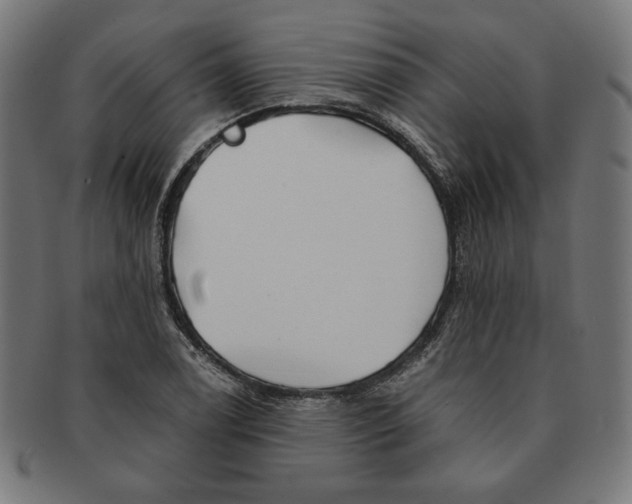 X0000091171122200709060928