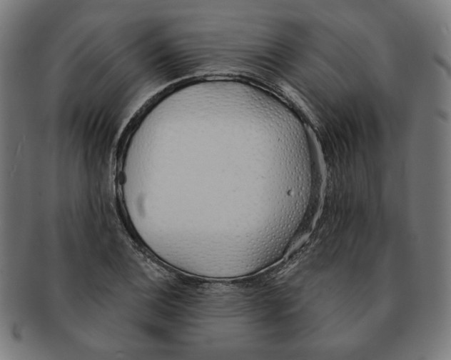 X0000091171124200709060928