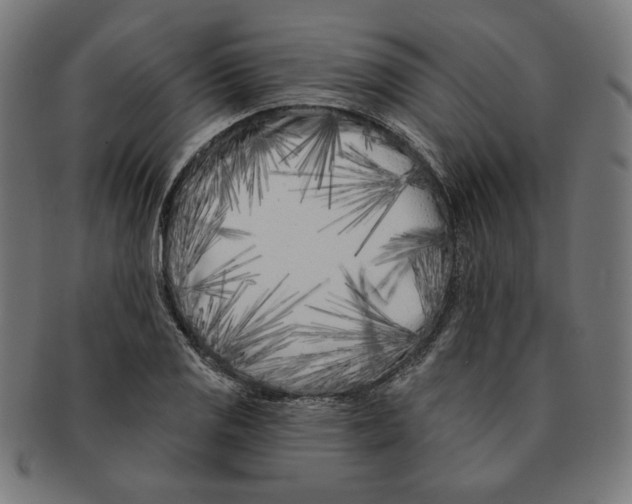X0000091171125200709060928